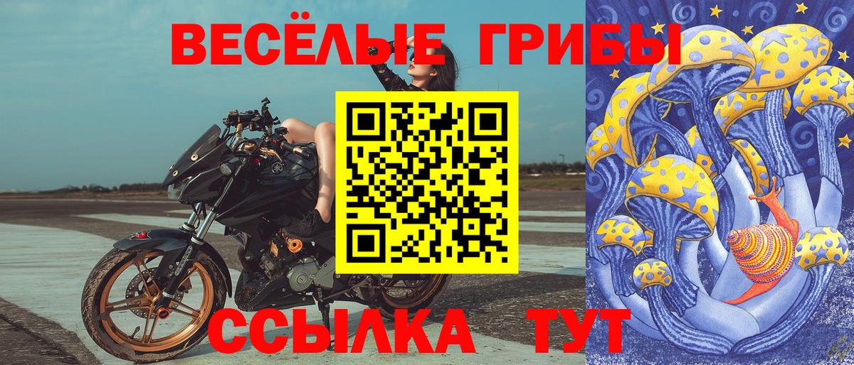 Галлюциногенные грибы мухоморы  где можно купить наркотик  Когалым  Вход с VPN 
